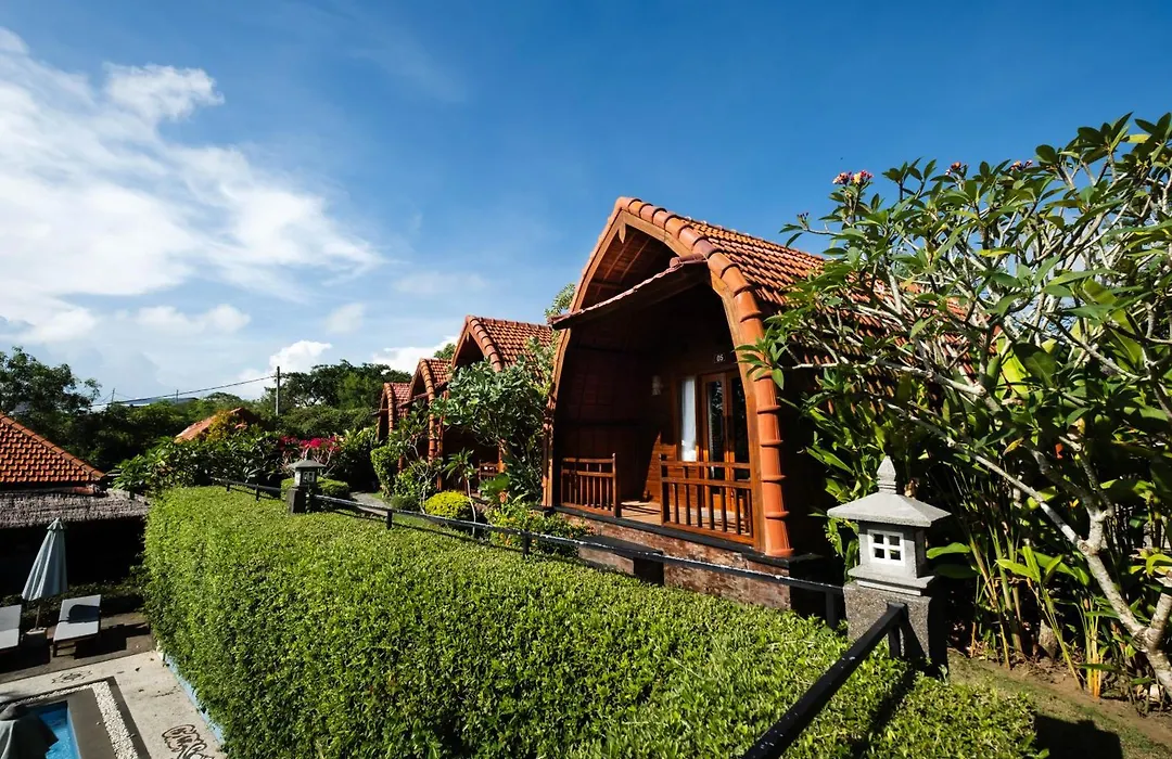 Druwa Bali-1